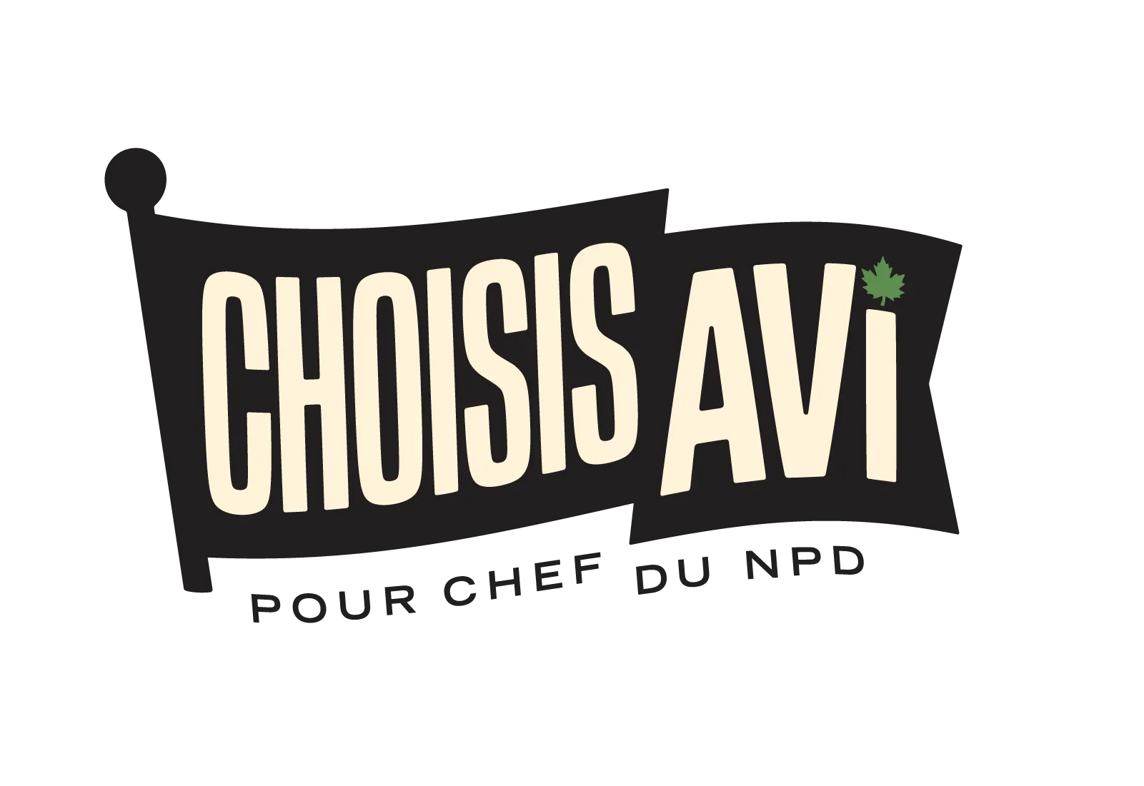 Avi Lewis pour chef du NPD